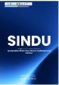 Poster SINDU #2