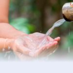 Hari Pangan Sedunia 2023_BacaDulu